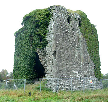 Ballyfinboy Castle in Co. Tipperary, Ireland - For sale at €75,000 - www.castlesandmanorhouses.com