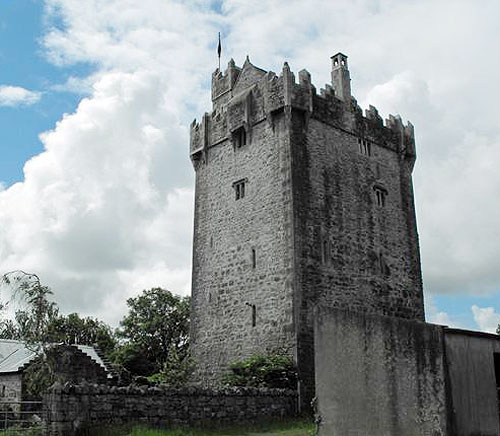 Caherkinmonwee Castle (Caher Castle), Craughwell, Co. Galway, Ireland - Price available on application - www.castlesandmanorhouses.com