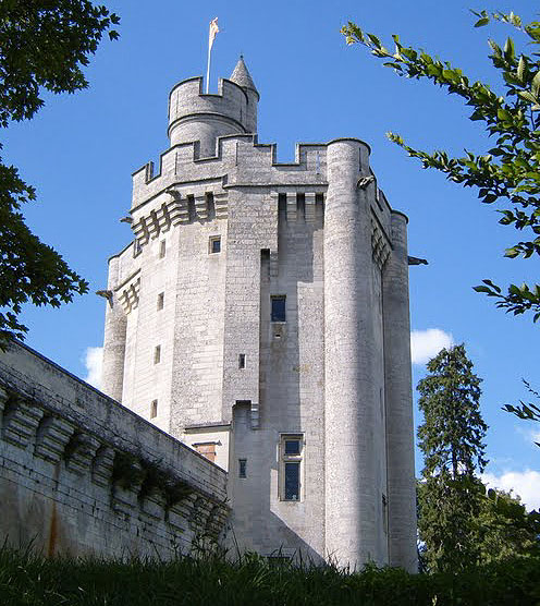 Donjon de Vez (or château de Vez), Commune Vez, Département Oise, Picardie, France - www.castlesandmanorhouses.com