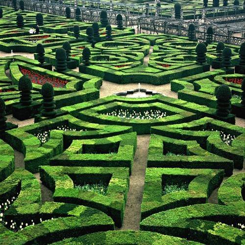 Parterre, The Château de Villandry, Villandry, Indre-et-Loire, France. - www.castlesandmanorhouses.com